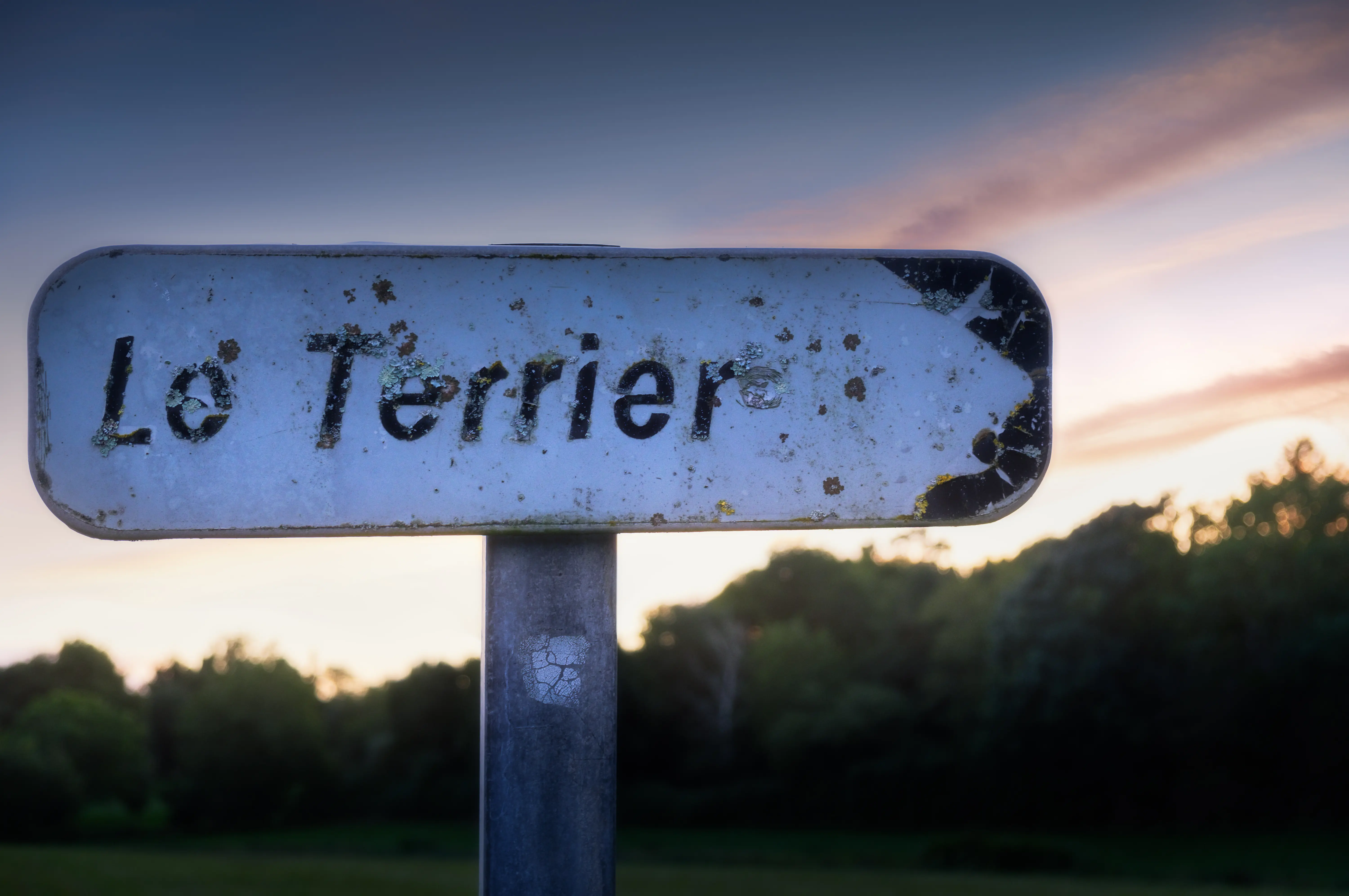 Un lieu-dit nommé "Le Terrier"