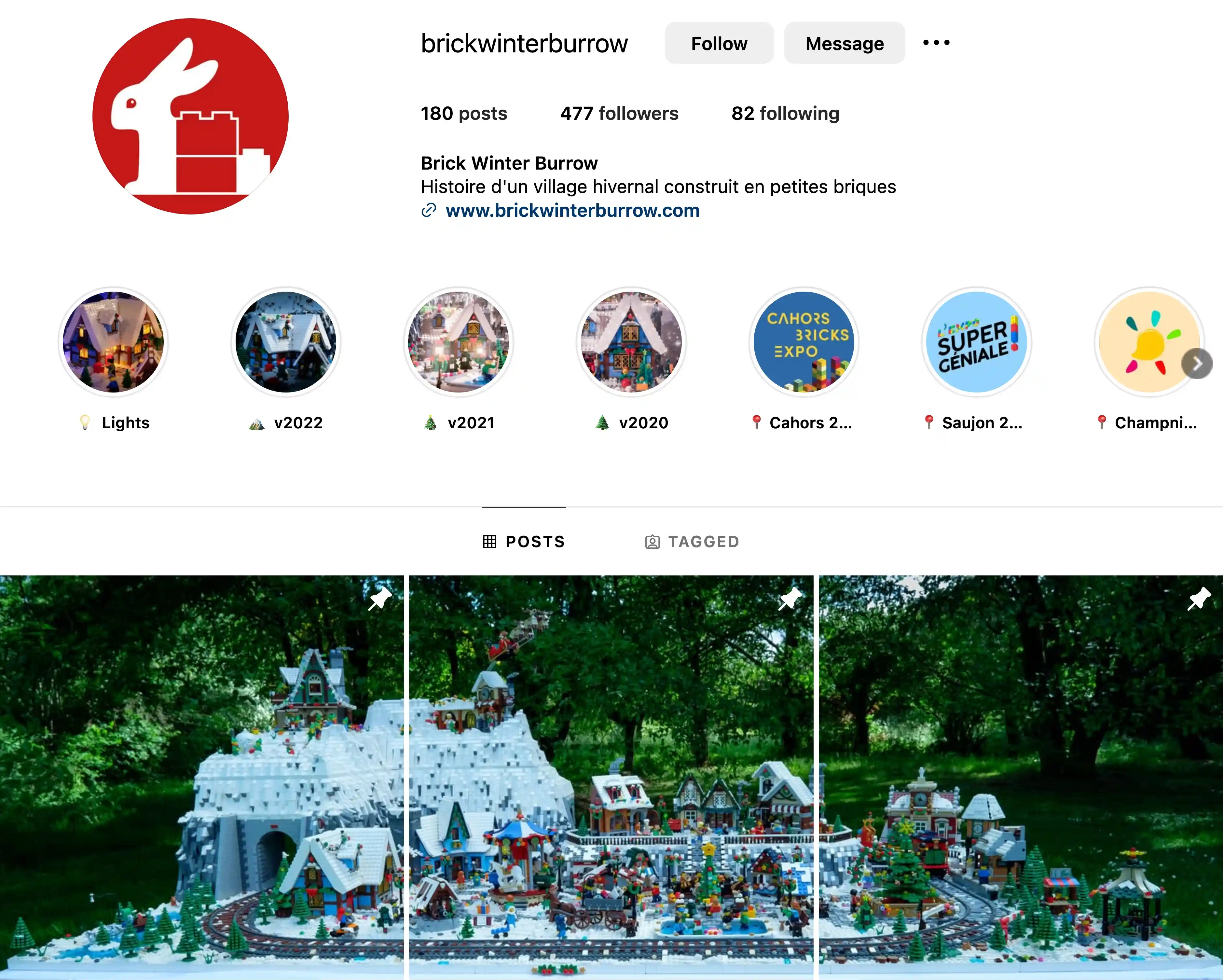 Le compte Instagram du Brick Winter Burrow